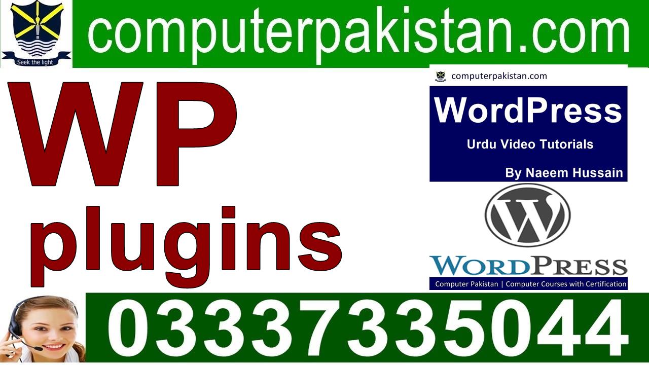 WordPress author plugin widget for Beginners in Pakistan