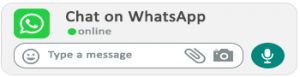 whatsapp live chat 2020