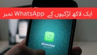 whatsapp number download